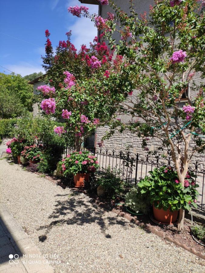 Casa Ortensia Holiday home *