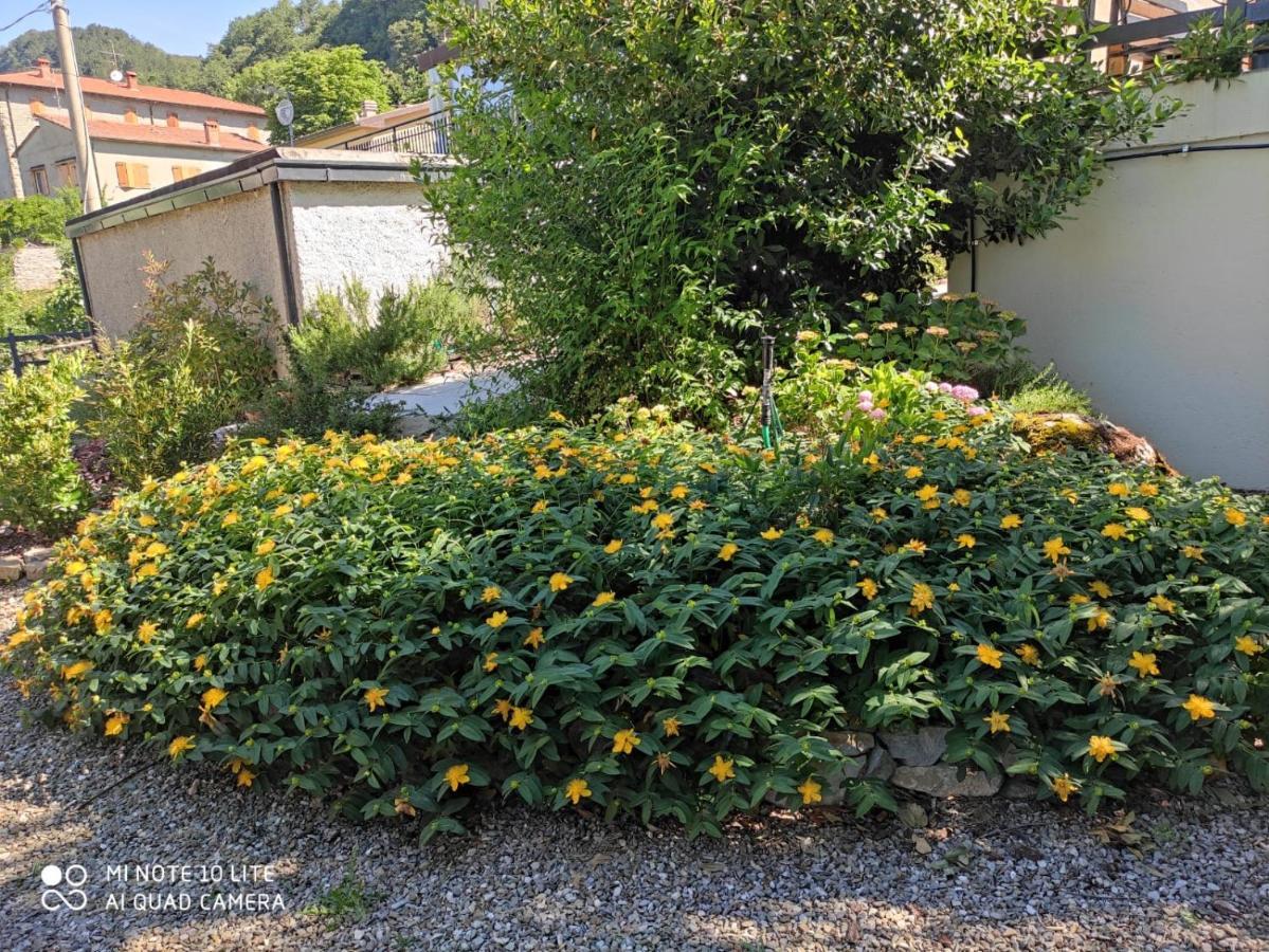 Casa Ortensia Holiday home